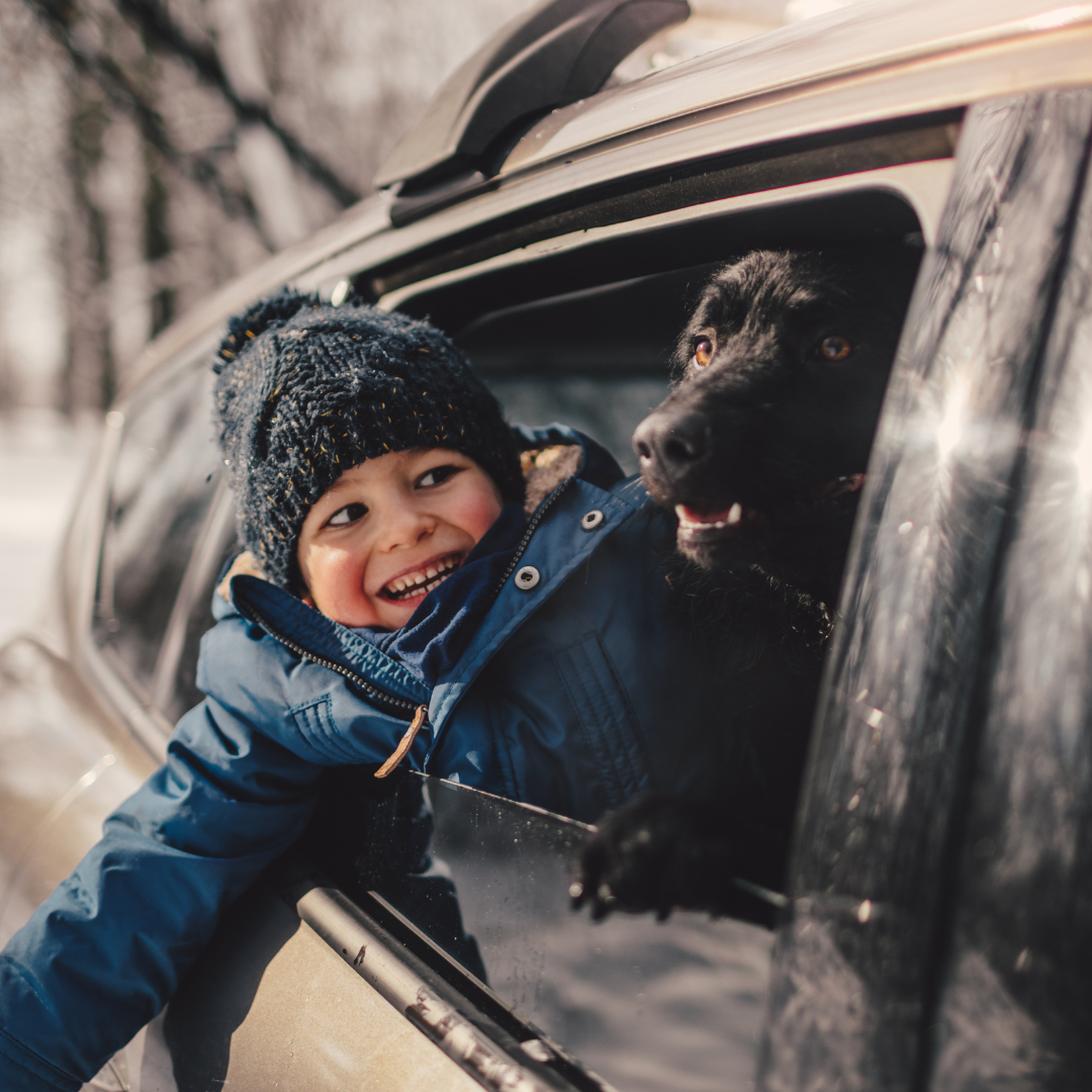 young boy in car with dog in winter