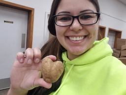 Kelsey Heart Potato